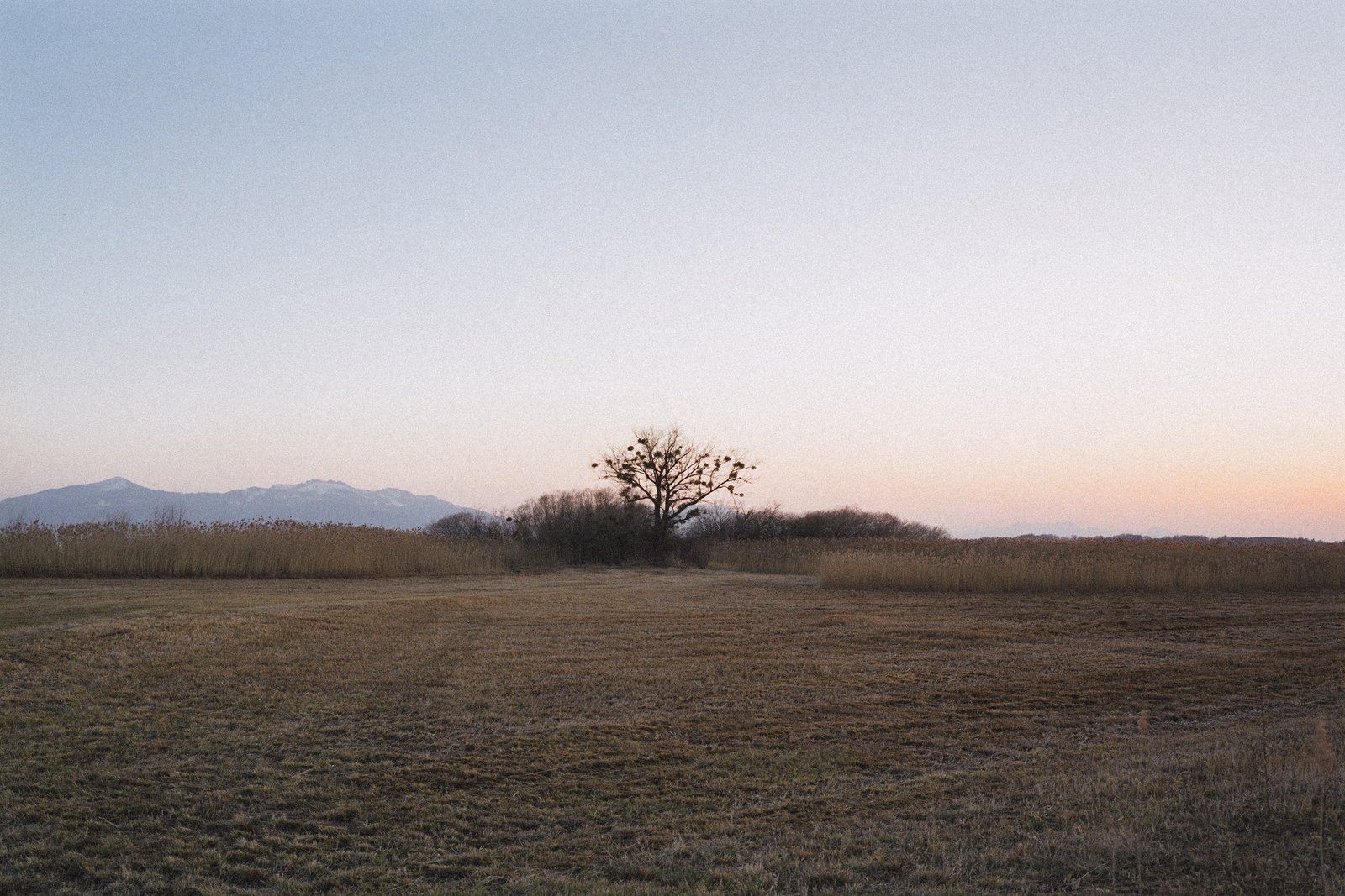 Naturschutzgebiet Hirschauer Bucht