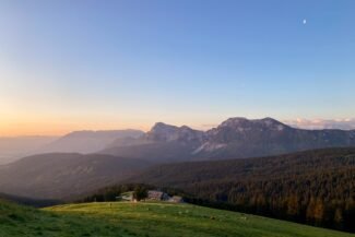 sunrise at alpine pasture Stoisser Alm with a herd of cows in the bavarian alps, Germany